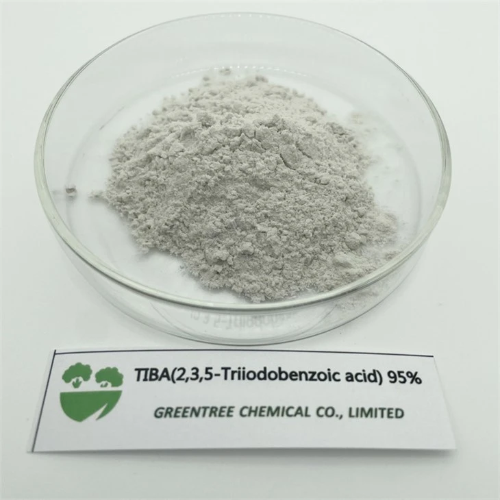 88-82-4 Pgr 2, 3, 5-Asid Triiodobenzoik Untuk Rumput Tiba 95 peratus Tc