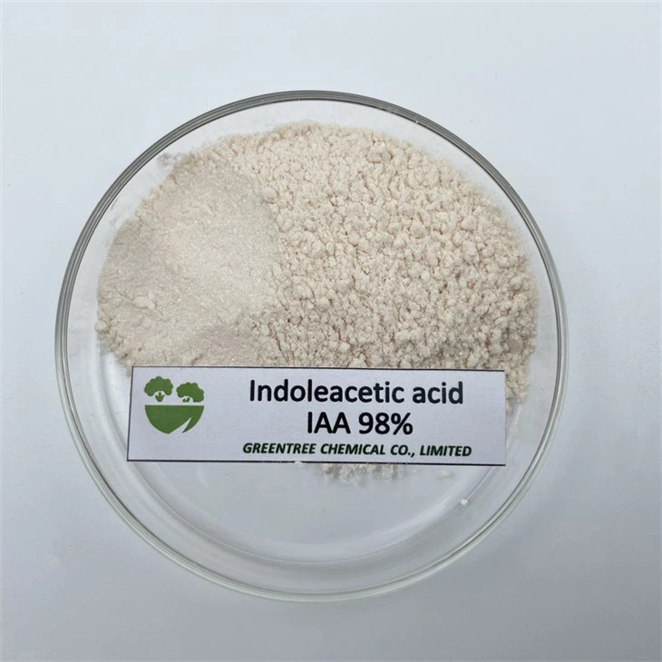 CAS 87-51-4 Iaa 98%Tc High Quality Plant Growth Powder Indole-3-Acetic Acid 98%Tc