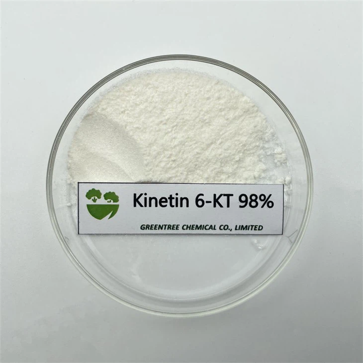 CAS NO. 525-79-1 Plant Growth Hormone Cytokinin Kinetin(6-furfurylaminopurine) 6-KT 99%