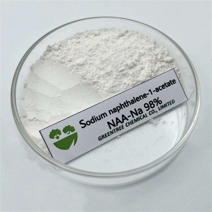 CAS No. 61-31-4 Auxin Alpha Na-Naa Sodium 1-Naphthaleneacetate 98%