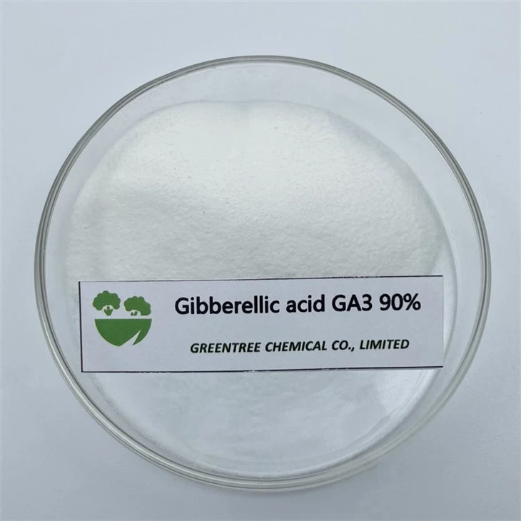 Plant Growth Regulator Gibberellic Acid Ga3 90%Tc, CAS No. 77-06-5