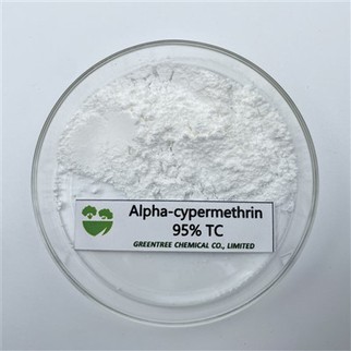 C22H19Cl2NO3 Insektisida Kimia Pertanian Alpha-Cypermethrin 95 peratus Harga Tc