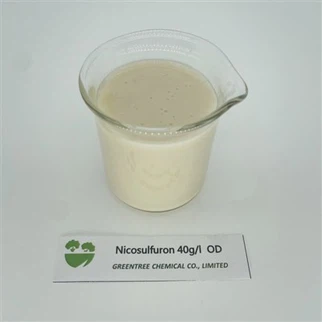 CAS NO. 111991-09-4 Nicosulfuron Herbisida 40 G/L OD
