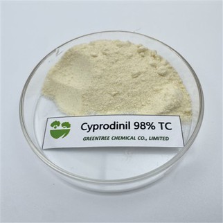 CAS NO. 121552-61-2 Fungisida Cyprodinil 98 peratus Teknikal