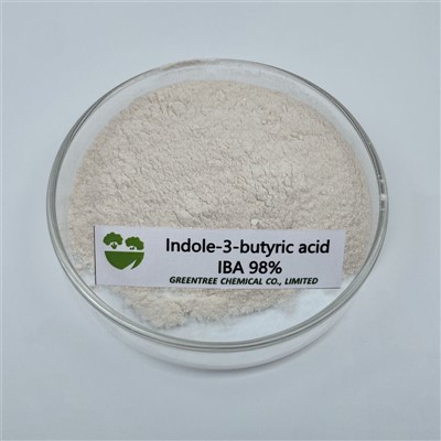 No. CAS 133-32-4 98 peratus Indole-3-Asid butirik IBA Pengakaran Hormon