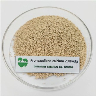 Pengatur Pertumbuhan Tumbuhan Lambat Matang 127277-53-6 Kalsium Proheksadione 20 peratus Wdg