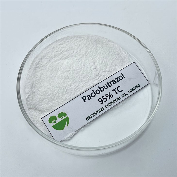 Pengawal Pertumbuhan Loji Teknikal Paclobutrazol 95% Tc